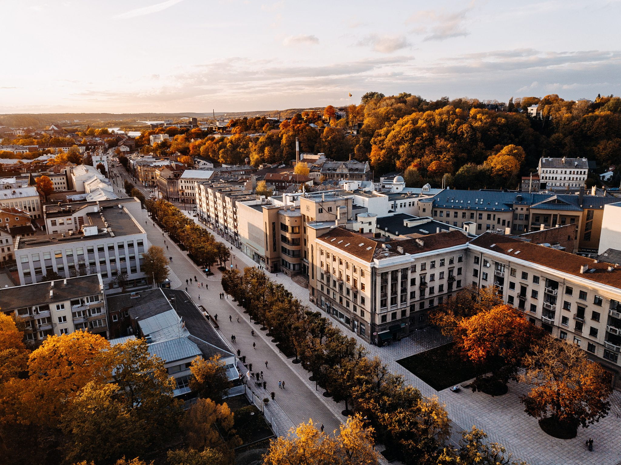 kaunas naujamiestis laisves aleja