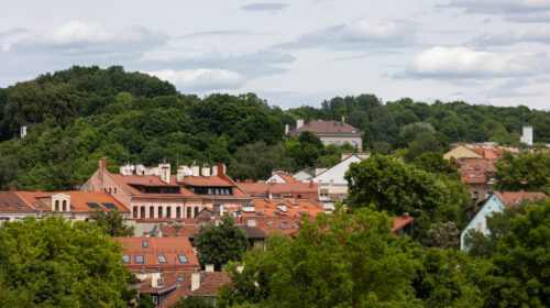 Ž. Gedvilos/BNS nuotr.